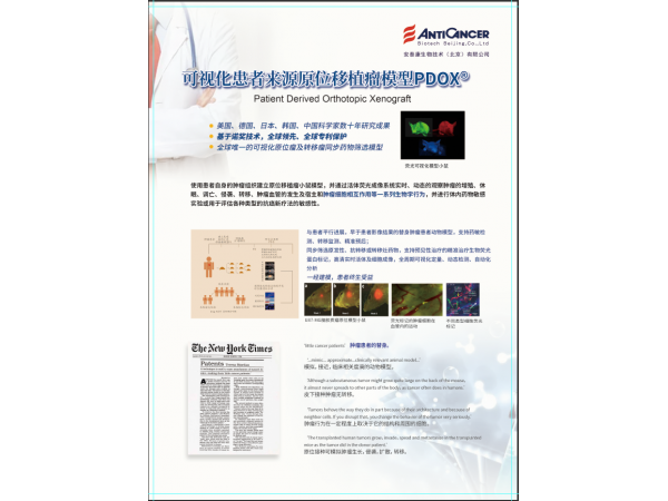 早期手術腫瘤患者抗復發、抗轉移、促進生存全過程管理服務
