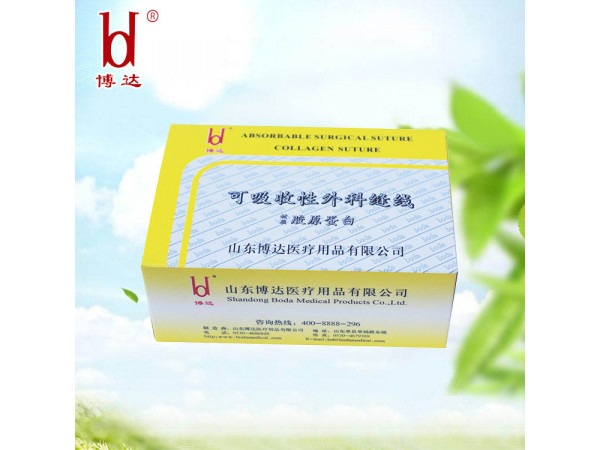 博達2cm長中醫針灸膠原蛋白穴位埋線廠家