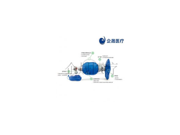 丹麥ambu簡易呼吸器急救蘇醒球氣囊Ambu MARK IV
