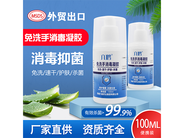 六鶴免洗手蘆薈消毒凝膠100ml 75度乙醇殺毒