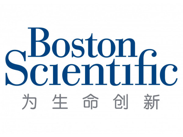 波科Boston 預安裝血管支架系統 LD H74938162830130 血管介入耗材