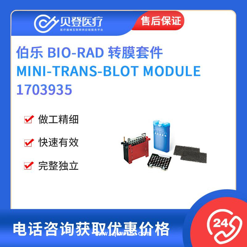 伯樂-Mini-trans-blot-Module轉膜套件