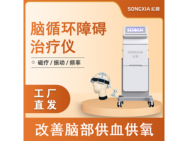 腦循環功能障礙治療儀/腦循環康復治療儀/經顱磁