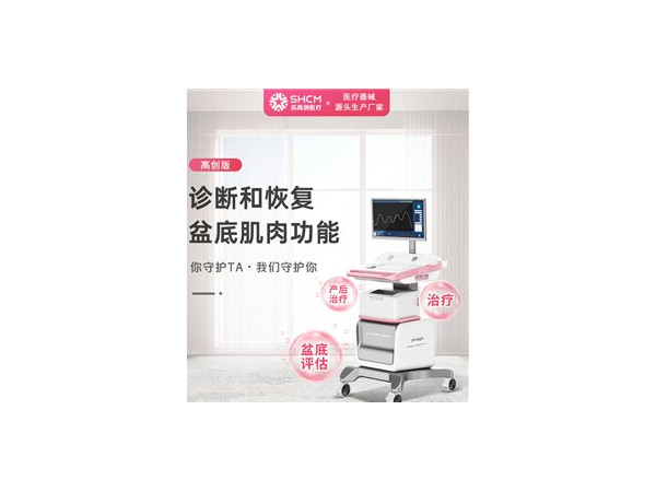 盆底肌修復儀，產后康復儀