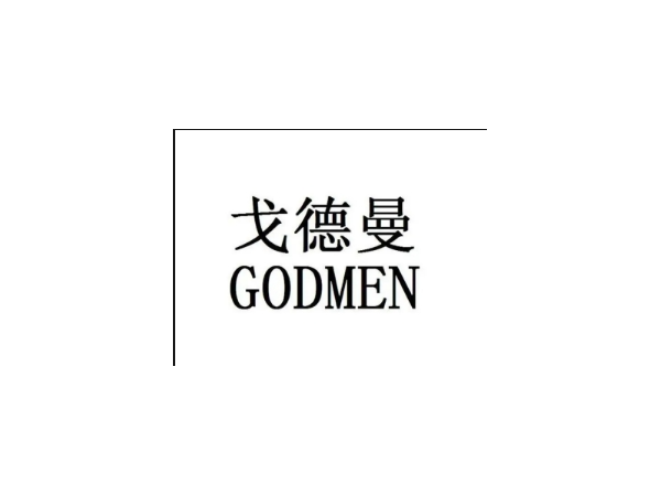 戈德曼 冠狀動脈棘突球囊導管NS27513 血管介入耗材