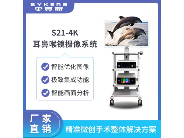 SYKERS 史克斯內窺鏡 耳鼻喉鏡攝像系統 4K內窺鏡攝像系統 耳鼻喉內窺鏡