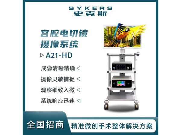 SYKERS 史克斯內窺鏡 宮腔電切鏡 攝像系統 高清內窺鏡攝像系統