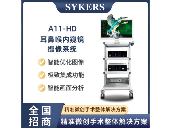 SYKERS 史克斯內窺鏡 耳鼻喉內窺鏡 高清內窺鏡攝像系統