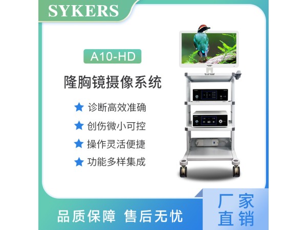 SYKERS 史克斯內窺鏡  隆胸鏡攝像系統 高清內窺鏡攝像系統