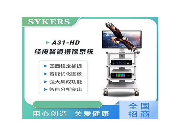SYKERS 史克斯內窺鏡 高清耳鼻喉內窺鏡 鼻鏡
