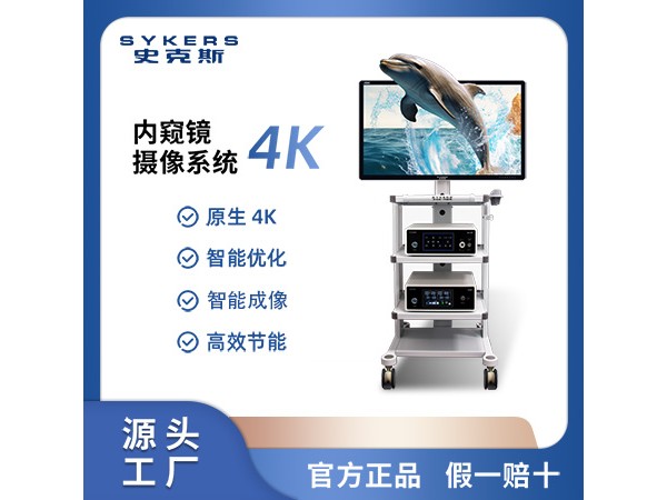 SYKERS 史克斯內窺鏡 乙狀結腸鏡攝像系統 4K內窺鏡攝像系統