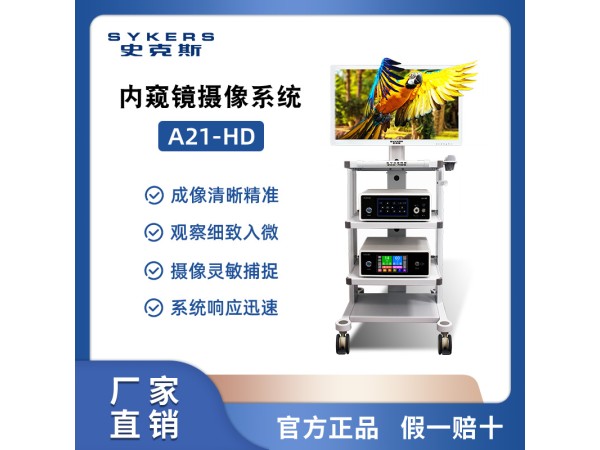 SYKERS 史克斯內窺鏡 高清纖維鼻咽喉鏡 耳鼻喉科內窺鏡