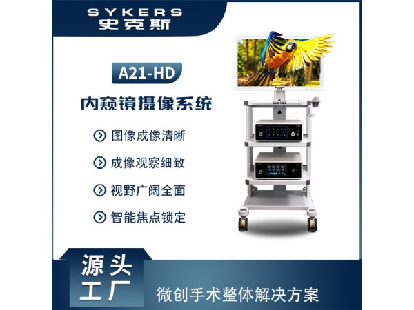 SYKERS 史克斯內窺鏡 關節鏡攝像系統 高清內窺鏡攝像系統