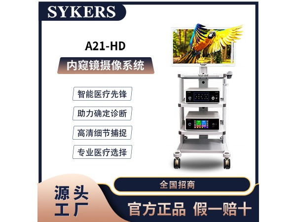 SYKERS 史克斯內窺鏡 內窺鏡 攝像系統 神經外科 腦室鏡